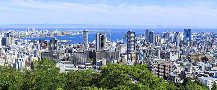 六甲山から市街地を望む
